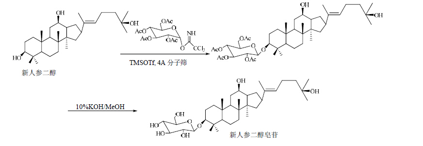 人参皂苷Rh 2 通过激活GSK-3β降解β-catenin发挥抗肝癌作用研究