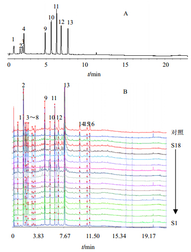 uplc结合化学计量学方法的肿节风指纹图谱研究