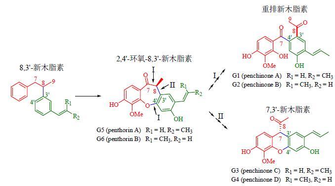 木脂素八百方图片